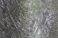 St Dials fibreglass roof work